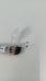 MICRO ALFINETES ENTOMOLÓGICOS COM CABEÇA