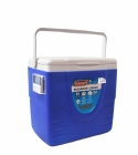 CAIXA TÉRMICA COM TERMÔMETRO 15L